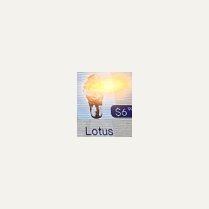 Lotus